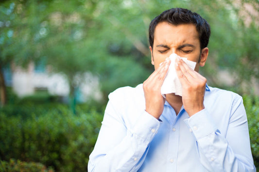 Les Avantages d'Utiliser un Filtre de Fournaise Lavable ElectroDust pour les Personnes Souffrant d'Allergies